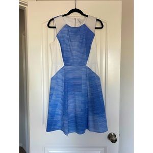 Tahari slimming dress